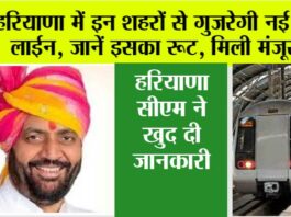 Haryana Metro News