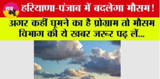 Haryana Punjab Weather