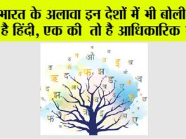 Hindi Language