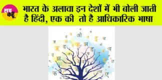 Hindi Language