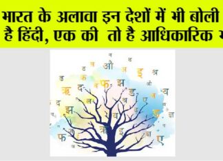 Hindi Language