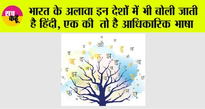 Hindi Language