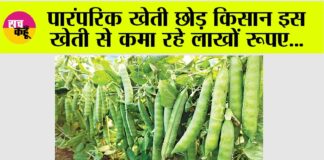 Kisan News