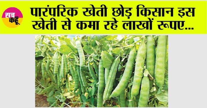 Kisan News