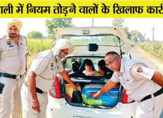 Sirsa News