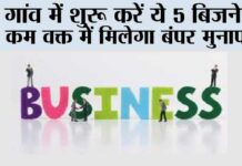 Top Five Business Start In Village