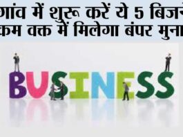 Top Five Business Start In Village