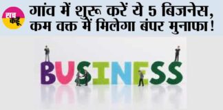 Top Five Business Start In Village