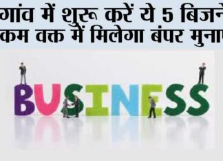 Top Five Business Start In Village