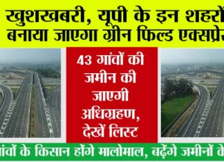 UP Expressway News