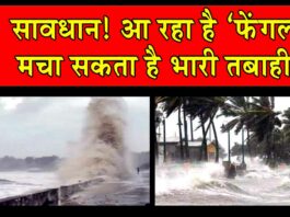 Cyclone Fengal News