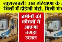 Haryana Metro News