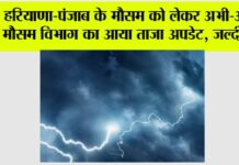 Haryana Punjab Weather News