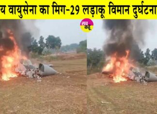 MiG-29 Fighter Jet Crash