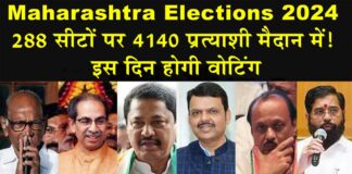 Maharashtra Elections 2024