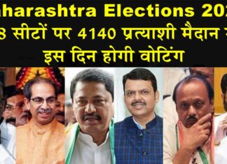 Maharashtra Elections 2024