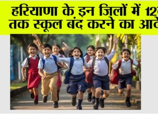 Haryana School Holidays