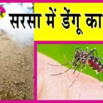 Sirsa Dengue News