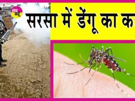 Sirsa Dengue News