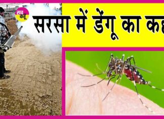 Sirsa Dengue News