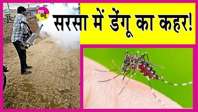 Sirsa Dengue News