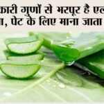 Aloe Vera Benefits