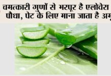 Aloe Vera Benefits