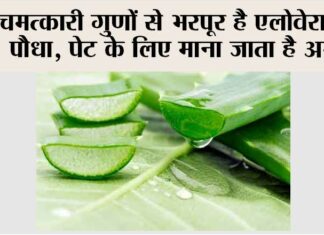 Aloe Vera Benefits