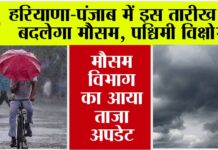 Haryana-Punjab Weather News