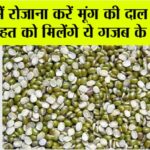 Moong Dal Benefits