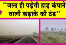 Rajasthan Weather