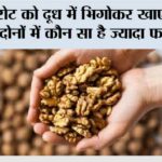 Walnuts Benefits