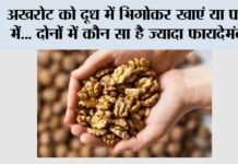 Walnuts Benefits