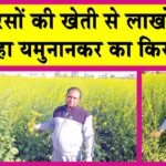 Mustard Farming