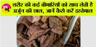 Arjun Chaal Benefits