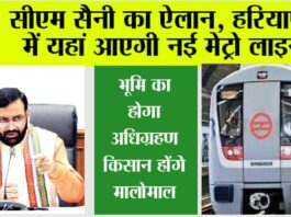 Haryana Metro News