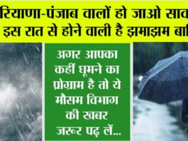 Haryana-Punjab Weather News