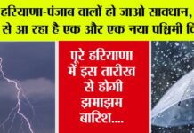 Haryana Punjab Weather Alert