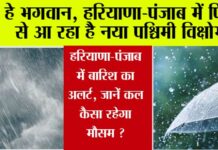 Haryana Punjab Weather Update