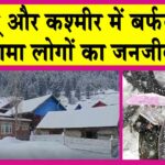 Jammu Kashmir Snowfall