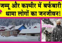 Jammu Kashmir Snowfall