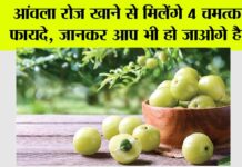 Amla Benefits