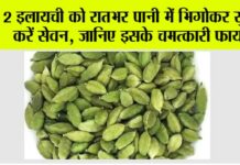 Elaichi Water Benefits