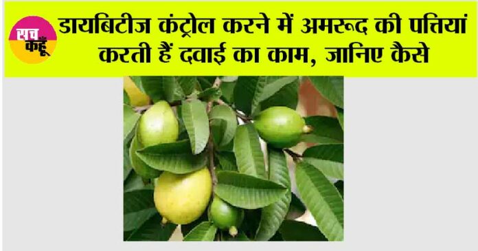 Guava Leaf for Diabetes