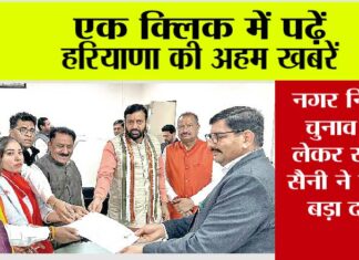 Haryana News in Hindi: