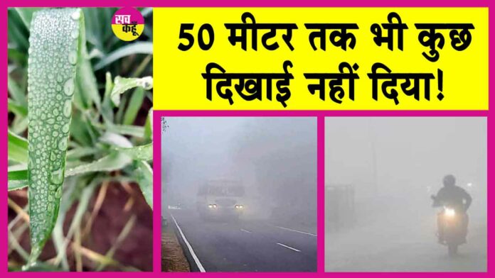 Rajasthan Weather News